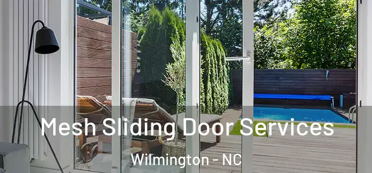 Mesh Sliding Door Services Wilmington - NC