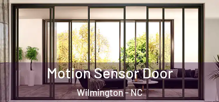 Motion Sensor Door Wilmington - NC